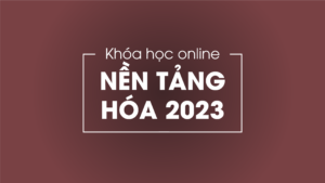 NEN TANG 2023