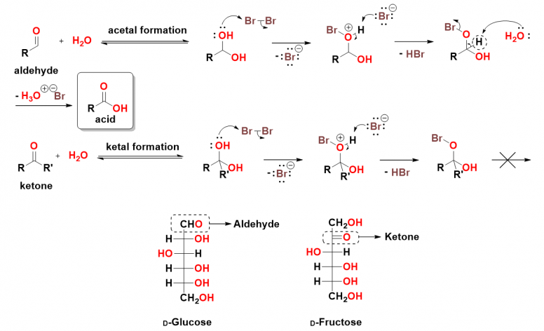 Phản ứng oxy hóa chọn lọc nhóm aldehyde thành nhóm carboxyl bằng nước bromine