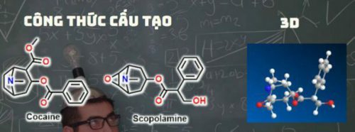 công thức cấu tạo và 3D của Scopolamine